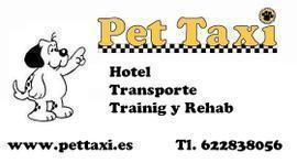 Pet  Taxi  Hotel