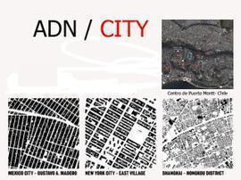 ADN, CITY ....PROTESTA VISUAL
