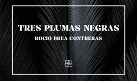 Tres plumas negras