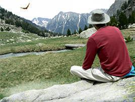 Los sabios de la luz