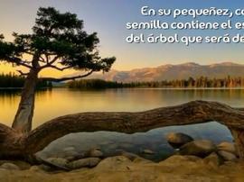 Darme vida y Conquistar mi sueño