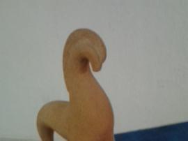 Consultorio Veterinario