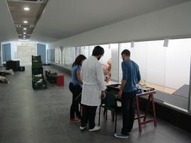 Musealización de L'Alcúdia