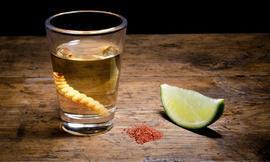Mezcal Ríos de la Plata