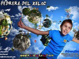 Programa de becas deportivas en Alicante