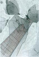 Grabación y edición del cd "Mariposas"