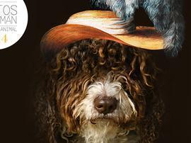 Calendario Santos Román Retratista Animal 2014