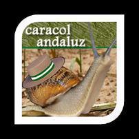 El Caracol Andaluz