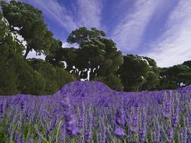 Granja Escuela Alejandría