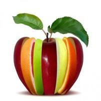 Libro de recetas de cocina vegetariana 