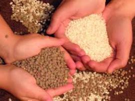 Alimentos para Dar Vida