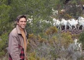 Limpieza forestal en los montes