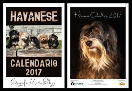 Havanese Calendario 2017 por Marta Perdigó