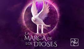 La marca de los dioses II - Inexperiencia