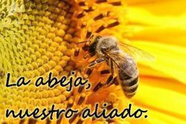 La abeja, nuestro aliado