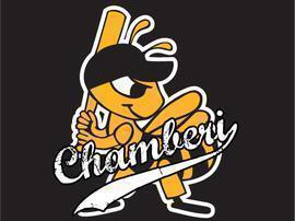 Avispas de Chamberí