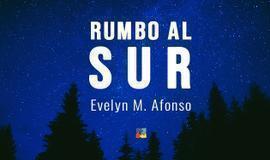 Rumbo al Sur, la novela