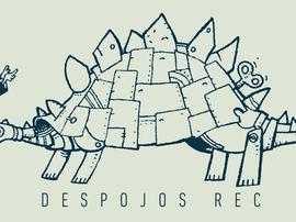 DESPOJOS DEL REC