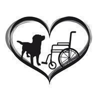 Un Perro Especial para Fernando