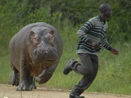 Maratón de Marrakech