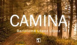 Camina, la novela