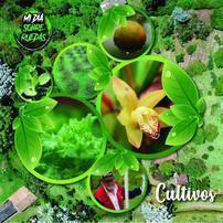 Mi día sobre ruedas