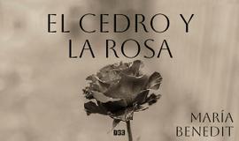 El cedro y la rosa