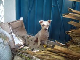 Huellitas de esperanza 