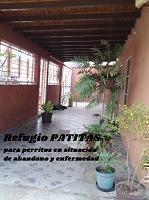 Refugio Patitas hogar para perritos  