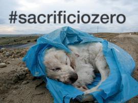 #sacrificiozero 