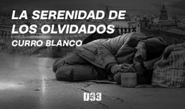 La serenidad de los olvidados