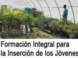 FORMACIÓN INTEGRAL PARA LA INSERCIÓN DE JOVENES