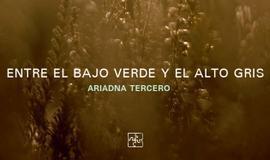 Entre el bajo verde y el alto gris