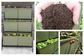 Huertos y Sustratos para una producción Ecológica