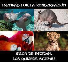 PRENDAS POR LA KONSERVACIÓN