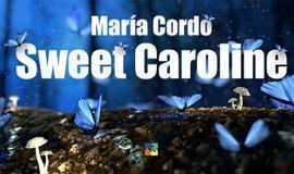 Sweet Caroline