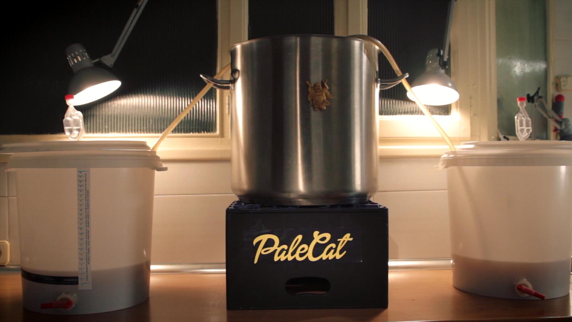 Homebrew cerveza artesana