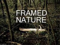 Framed Nature