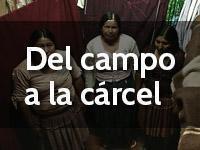 Del campo a la cárcel