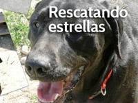 Rescatando Estrellas